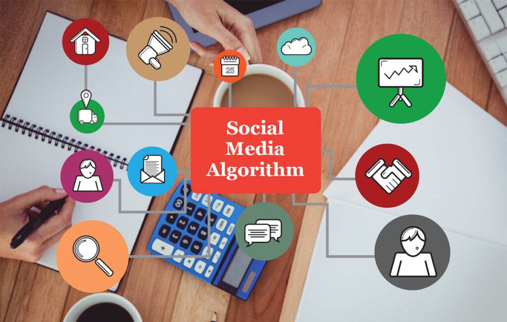 social media algorithms